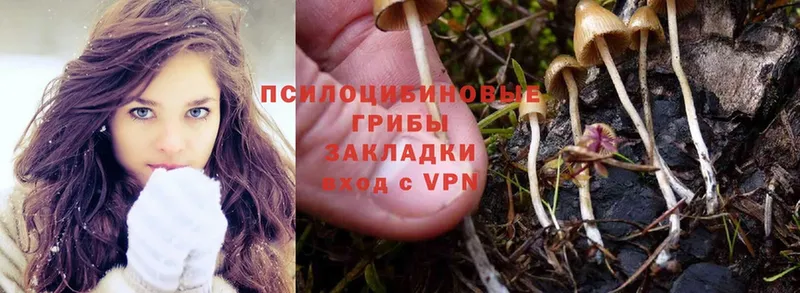 Псилоцибиновые грибы Cubensis  нарко площадка как зайти  Лениногорск 